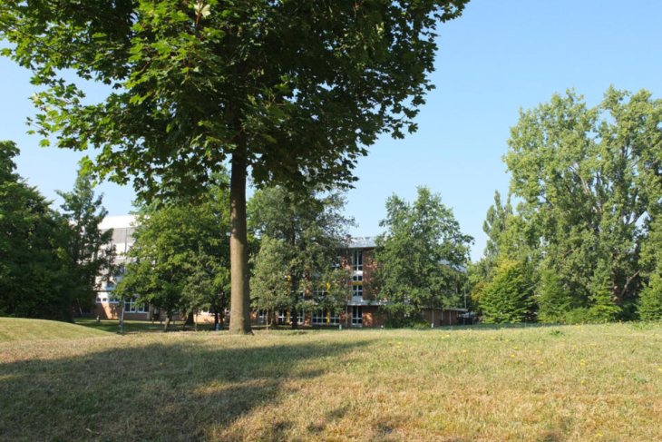 Freie Universität Berlin | Lector/a de euskera y cultura vasca (2026)
