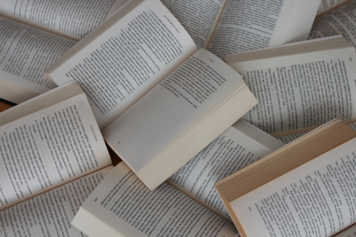 Literatura itzulpenetarako dirulaguntzak (2022)