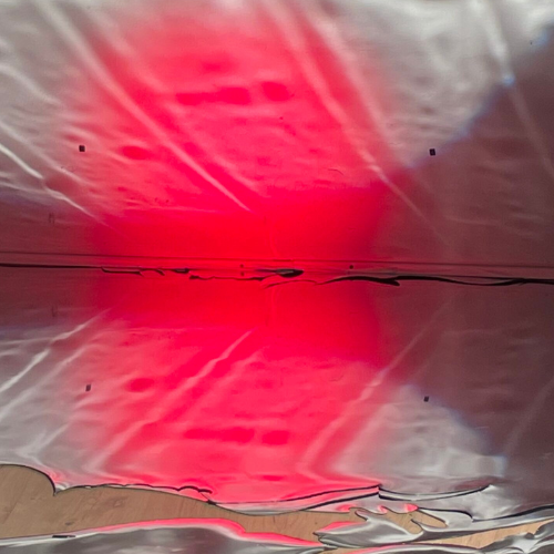 Europalia Morpho Tabakalera: Leire Lacunza Miranda