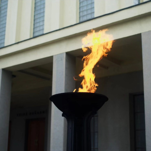 Berlin Baskisches Filmest 2025