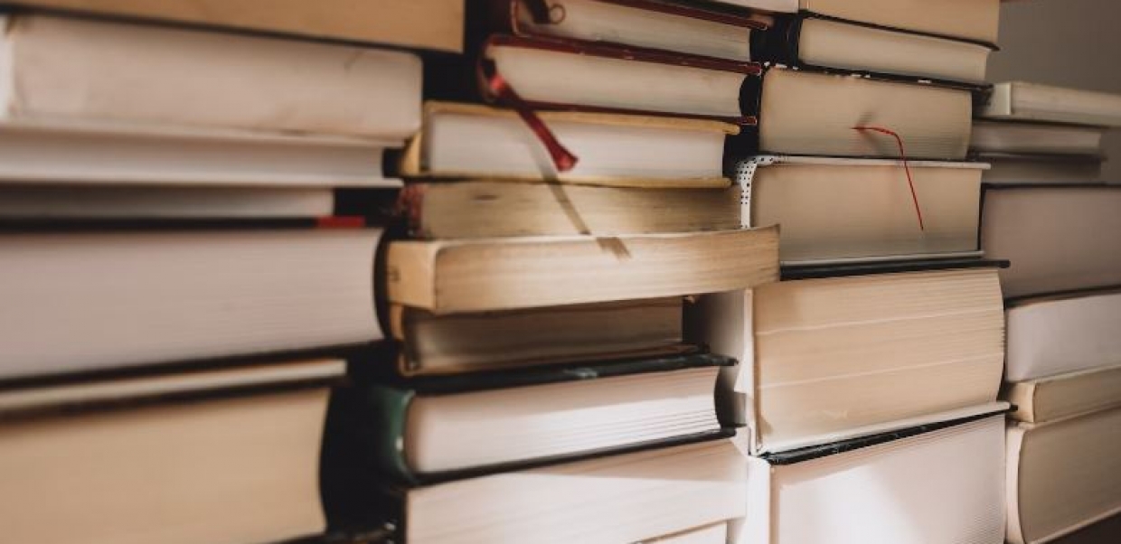 Literaldia: literatura vasca