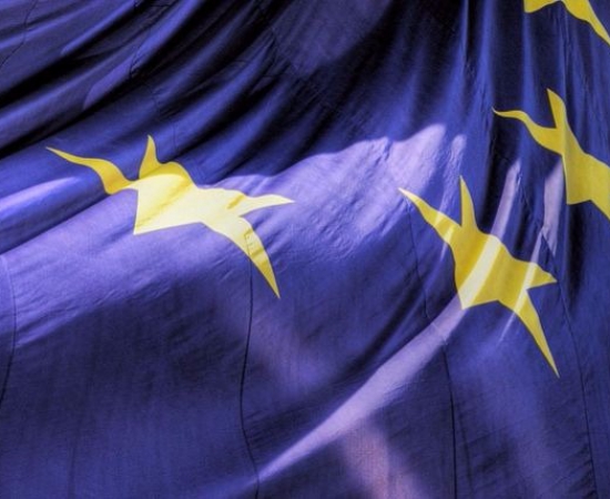 The Basque Country asserts the role of the regions in Europe’s international cultural relations