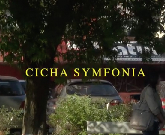 The audiovisual work ´A silent symphony´ of Aitor Gametxo will compete at the festival Punto de Vista this week
