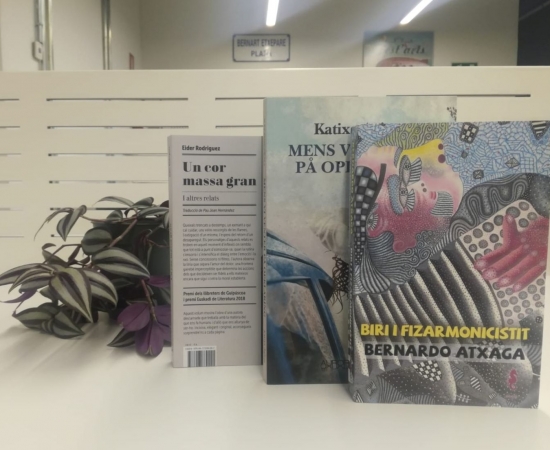 Translations of Basque novels recently published with the 2018 subsidies from the Etxepare Basque Institute