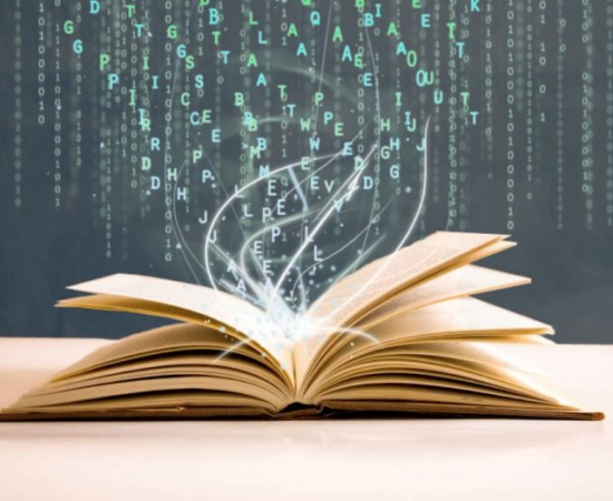 Euskara eta euskal kultura eremu digitalean, Bikaintasuna Euskal Ikasketetan ikastaroan