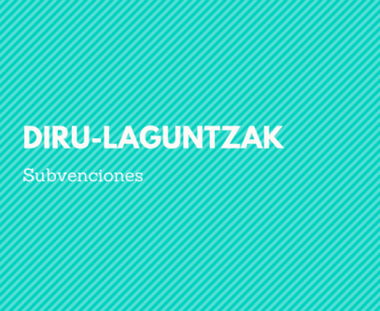 Diru-laguntzak zabalik: mugikortasuna, bidaia-poltsak, itzulpengintza