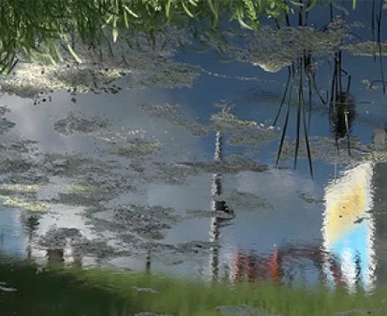 Aitor Gametxo´s short film ´A silent symphony´ at Punto de Vista festival