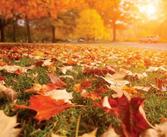 Autumn kicks off with a busy calendar of activities at the Etxepare Basque Institute