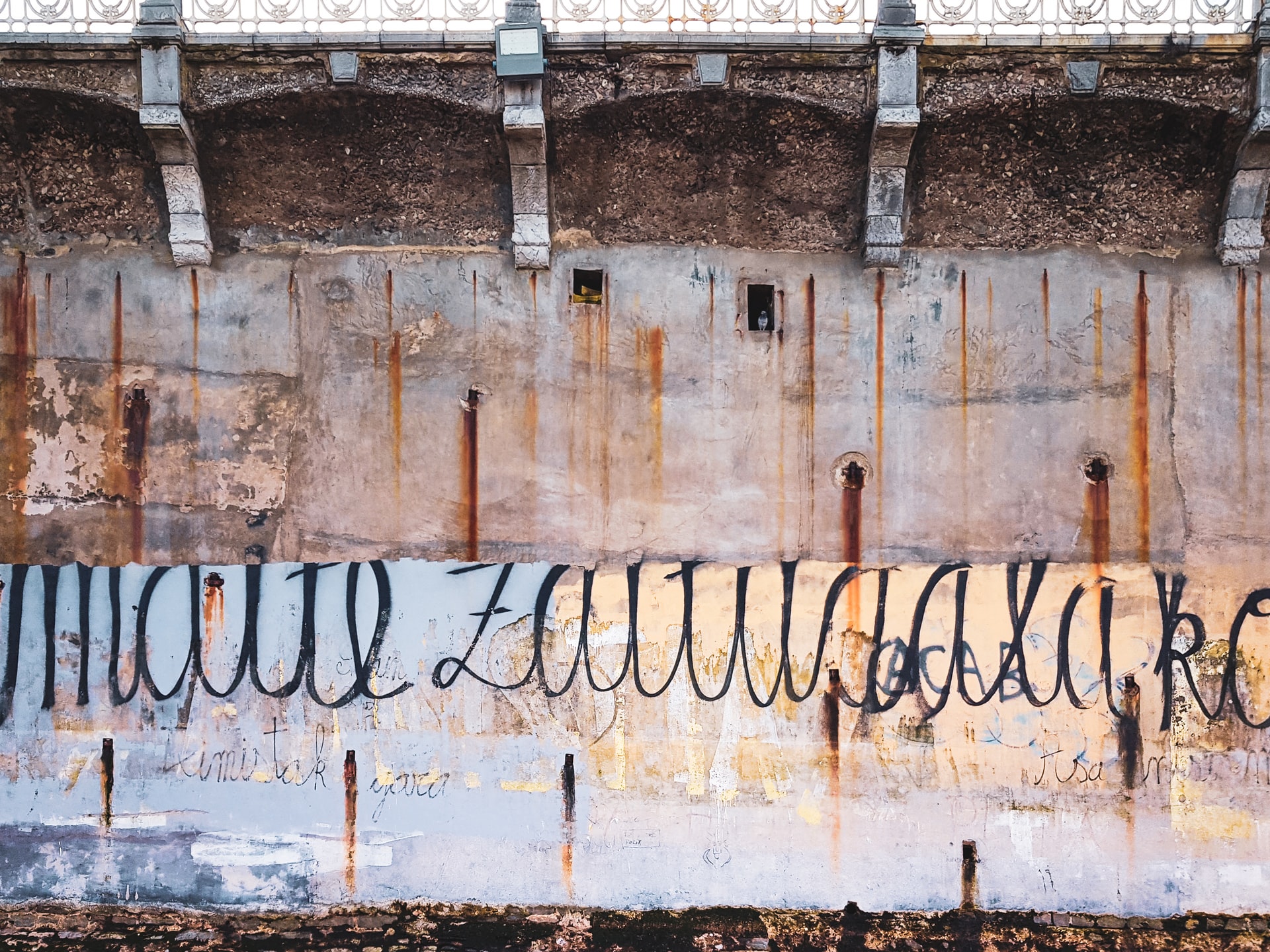 International Day of the Basque Language celebrated in 10 countries ...